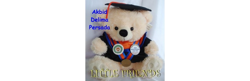 Boneka Wisuda Akademi Kebidanan Delima Persada